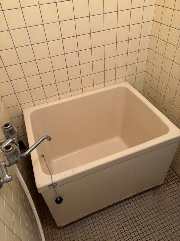 　バス　