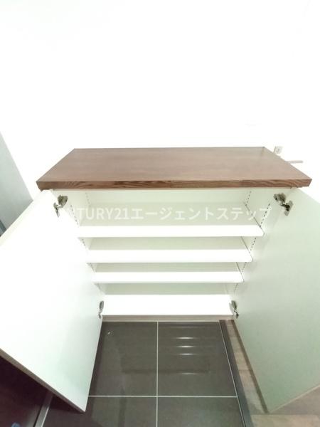アルテマイスターレオ　収納　シューズボックス