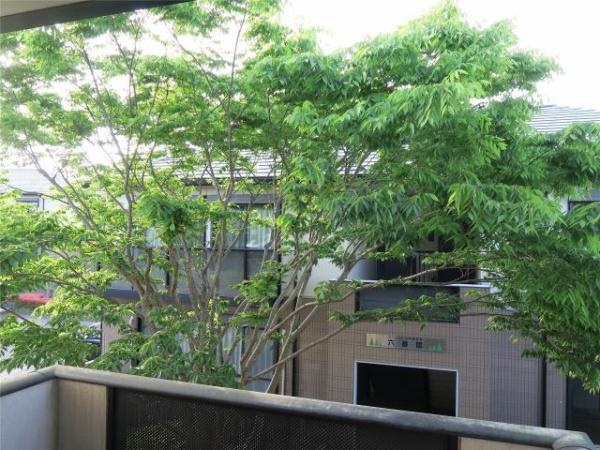 グリーンヒルズ生目台　バルコニー　
