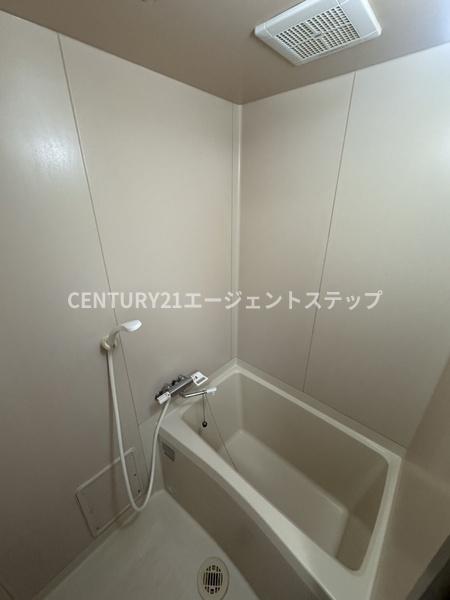 　バス　