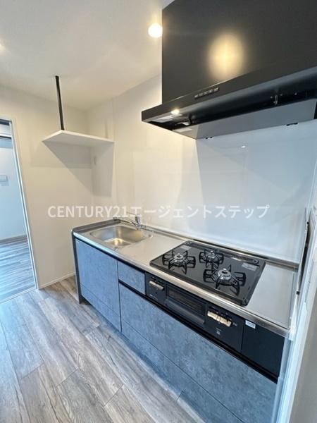 ラフィーナパレス宮崎東　キッチン　