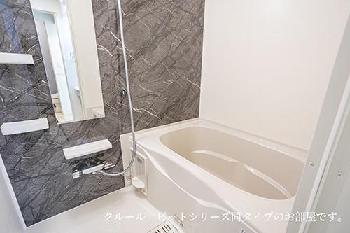 　バス　