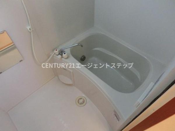 　バス　