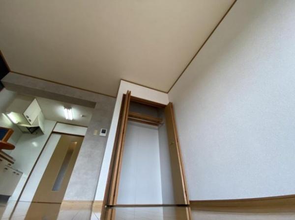 ツーエヌマンション　収納　