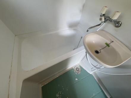 スプルース バス スプルース バス