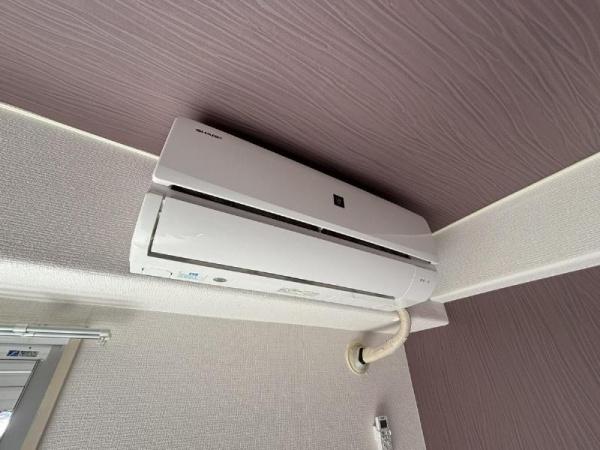 サンルネス 洋室 サンルネス 洋室