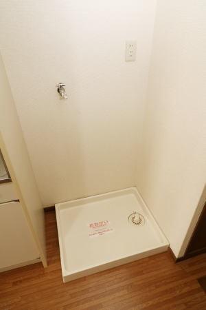 シーサイド大淀　洗面台・洗面所　室内洗濯機置場