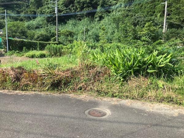 　現地土地写真　