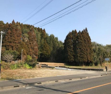 　現地土地写真　