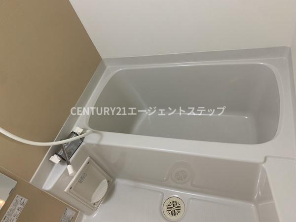 　バス　