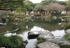 アルテマイスター堀川　宮崎中央公園（公園）／655m　