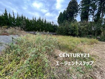 　現地土地写真　