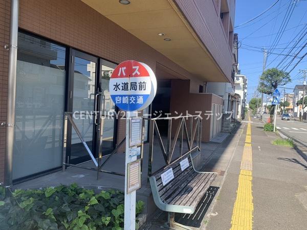 グリーンフィールド　現地からの眺望　