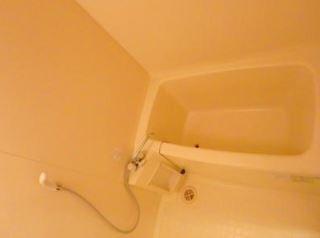 パストラル柳丸1 バス パストラル柳丸1 バス