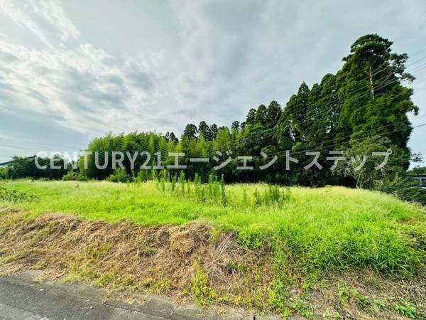 　現地土地写真　