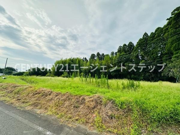 　現地土地写真　