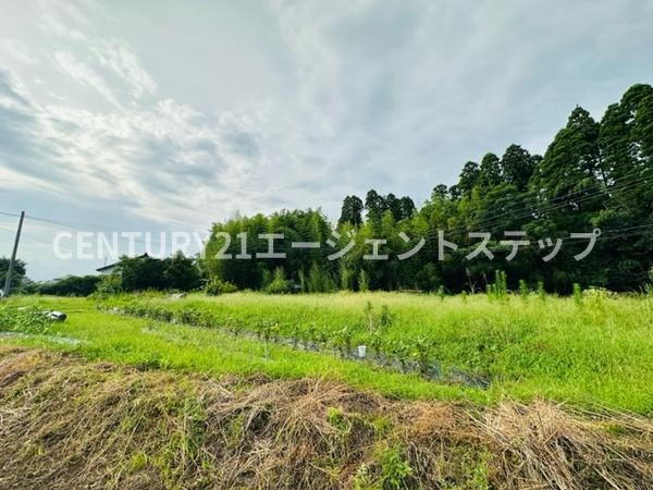 　現地土地写真　