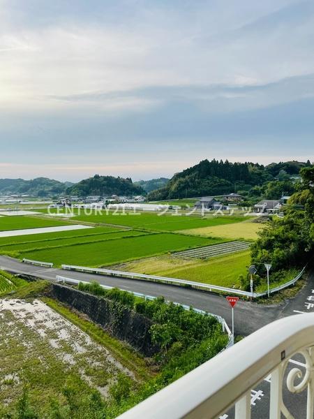 　現地からの眺望　