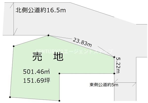 宮崎市青島４