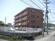 宮崎市大字新名爪