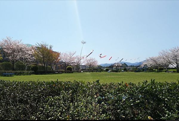 　加納公園（公園）／527m　