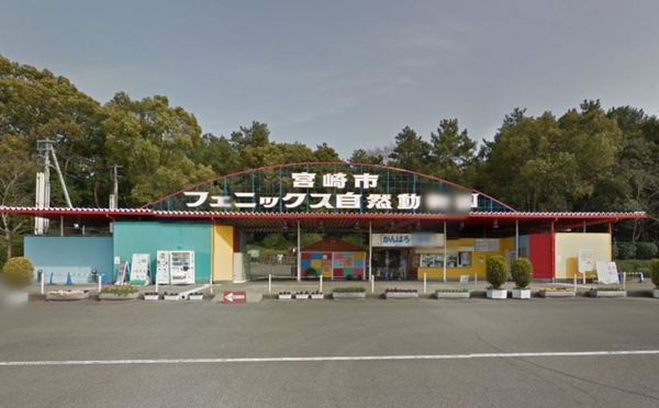 　宮崎市フェニックス自然動物園（レジャー・観光）／2061m　