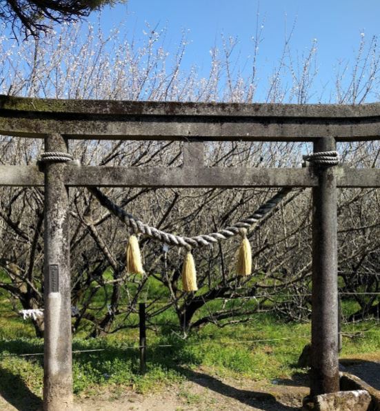 　月知梅公園（公園）／1402m　