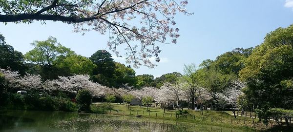 　天神山公園（レジャー・観光）／776m　