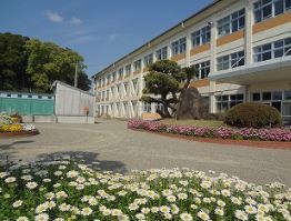 　新富町立富田小学校（小学校）／2236m　