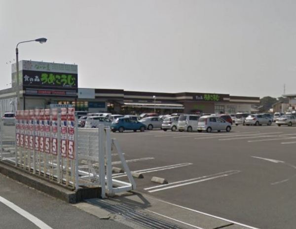 　ながの屋プラス食の森うめこうじ佐土原本店（スーパー）／576m　