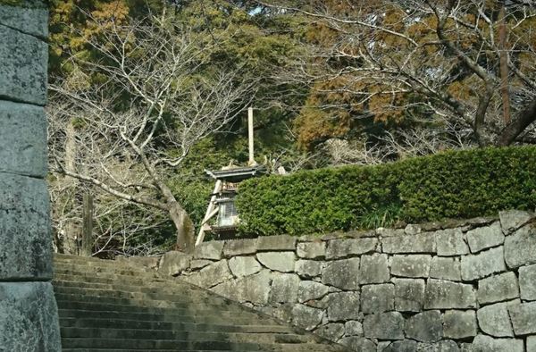 　舞鶴公園（レジャー・観光）／1548m　