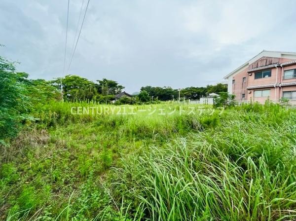 　現地土地写真　現地土地写真で緑豊かです