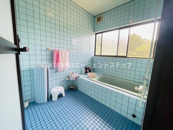 　バス　ブルータイルのバスが印象的です