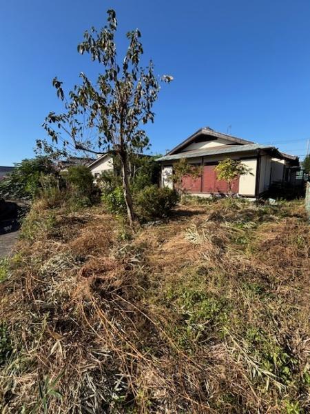 　庭　庭が広がる住環境です