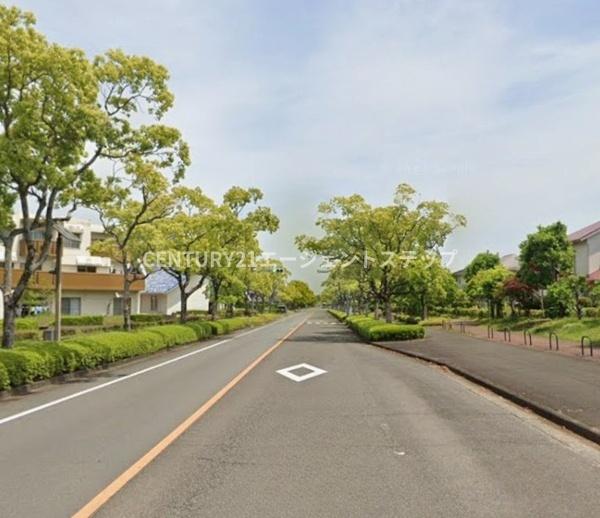 　前面道路含む現地写真　
