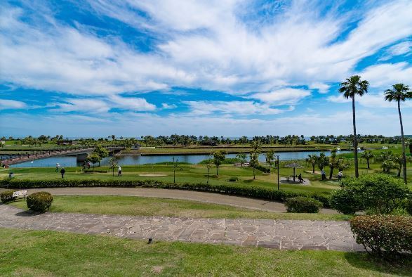 　宮崎交通こどものくに（レジャー・観光）／994m　