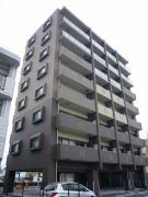 　現地からの眺望　