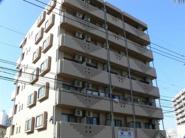 　現地からの眺望　