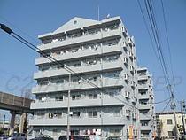 　現地からの眺望　